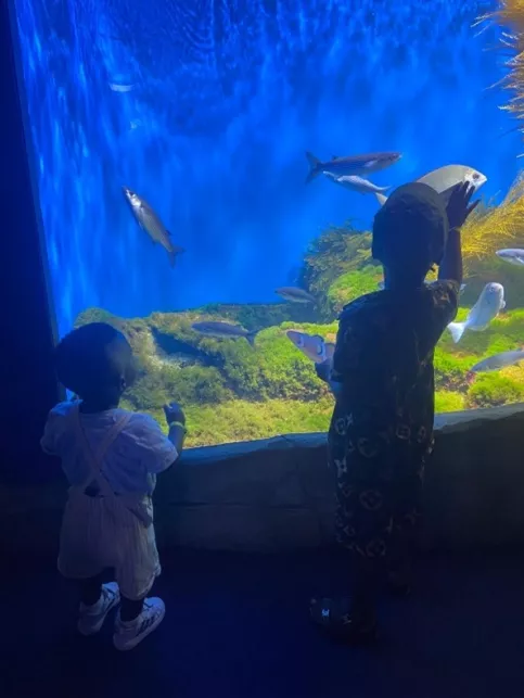 2 enfants qui regardent des poissons dans l'aquarium